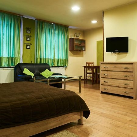 Slowackiego 16 - Apartamenty カトヴィツェ エクステリア 写真